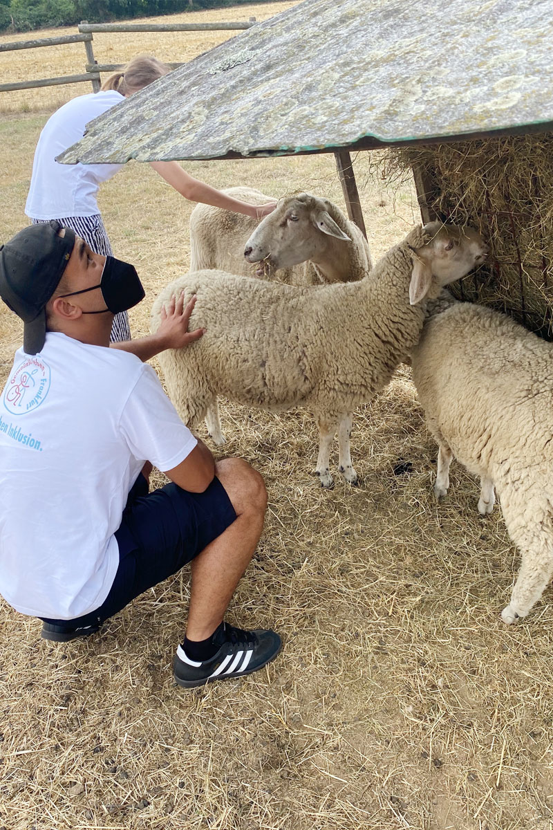 Ein Mann streichelt ein Schaf